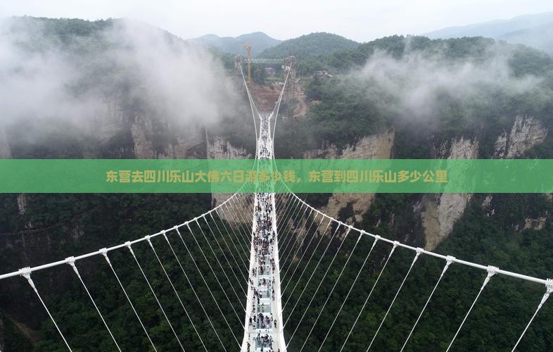 东营去四川乐山大佛六日游多少钱，东营到四川乐山多少公里