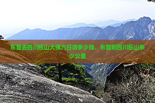 东营去四川乐山大佛六日游多少钱，东营到四川乐山多少公里