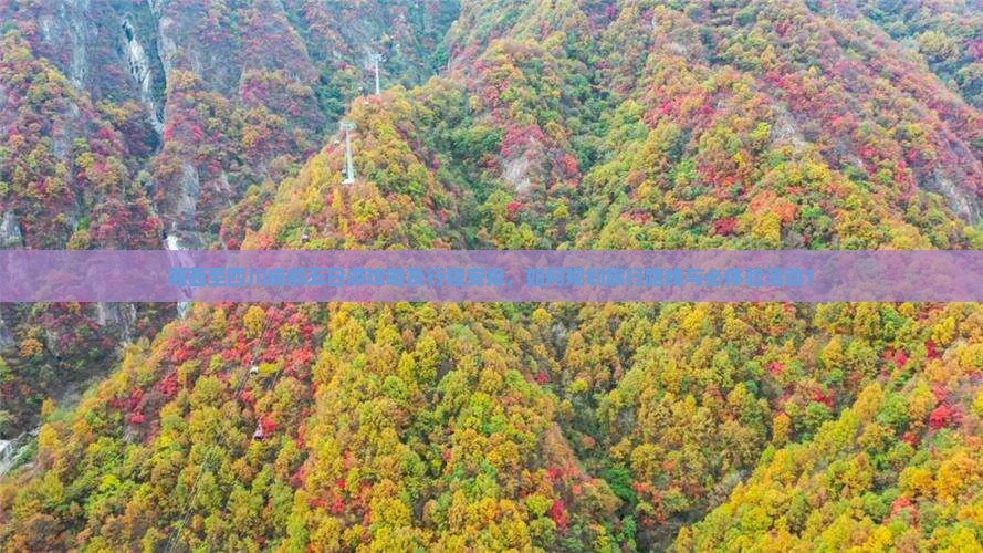 湘西至四川成都五日游攻略及行程安排，如何规划旅行路线与必体验活动？