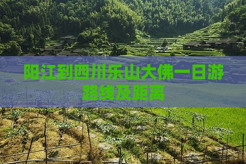 阳江到四川乐山大佛一日游路线及距离