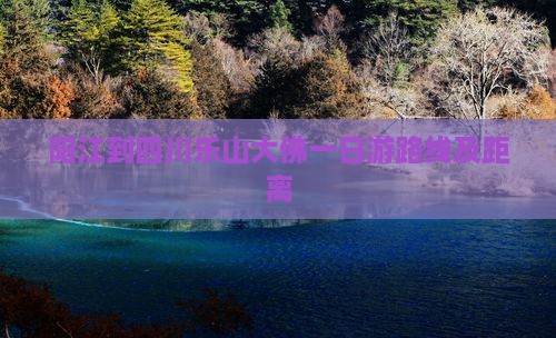 阳江到四川乐山大佛一日游路线及距离