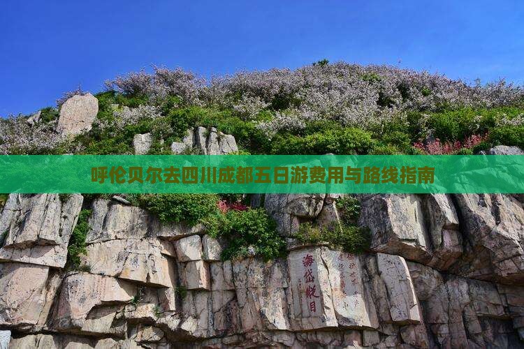 呼伦贝尔去四川成都五日游费用与路线指南