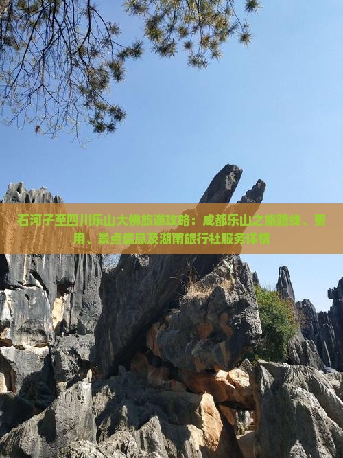 石河子至四川乐山大佛旅游攻略：成都乐山之旅路线、费用、景点信息及湖南旅行社服务详情