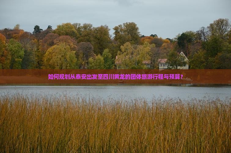 如何规划从泰安出发至四川黄龙的团体旅游行程与预算？