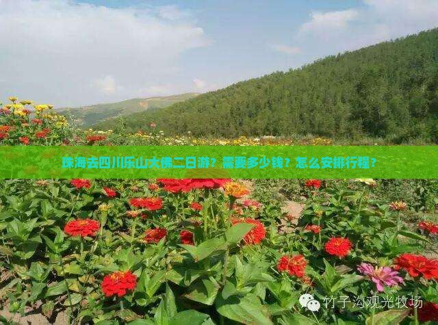 珠海去四川乐山大佛二日游？需要多少钱？怎么安排行程？