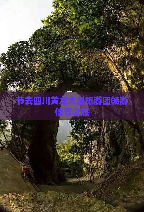 节去四川黄龙大型旅游团畅游佳节之旅
