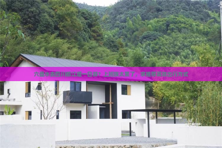 六盘水去四川都江堰一日游？上班族太累了，求推荐高效出行方式