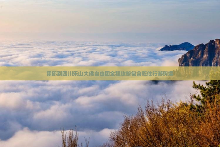 霍邱到四川乐山大佛自由团全程攻略包含吃住行游购娱