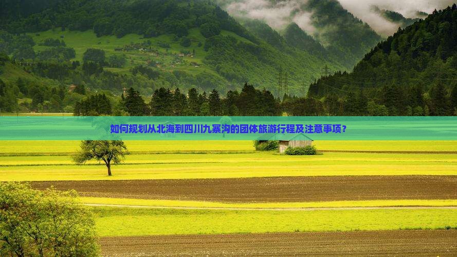如何规划从北海到四川九寨沟的团体旅游行程及注意事项？