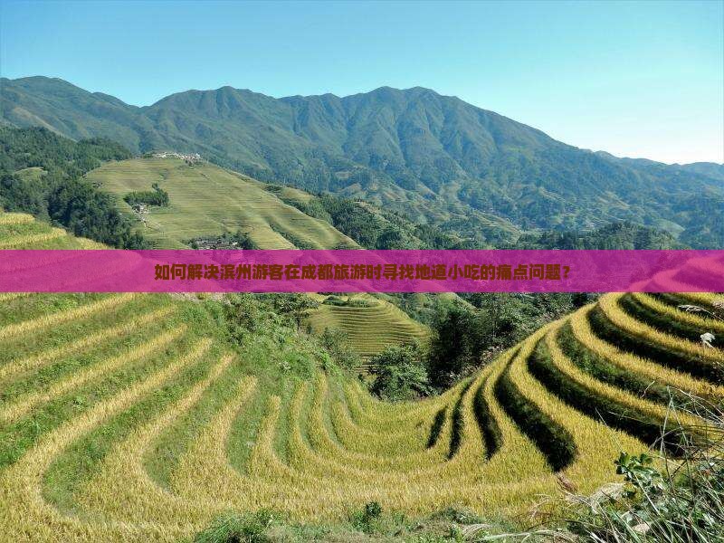 如何解决滨州游客在成都旅游时寻找地道小吃的痛点问题？