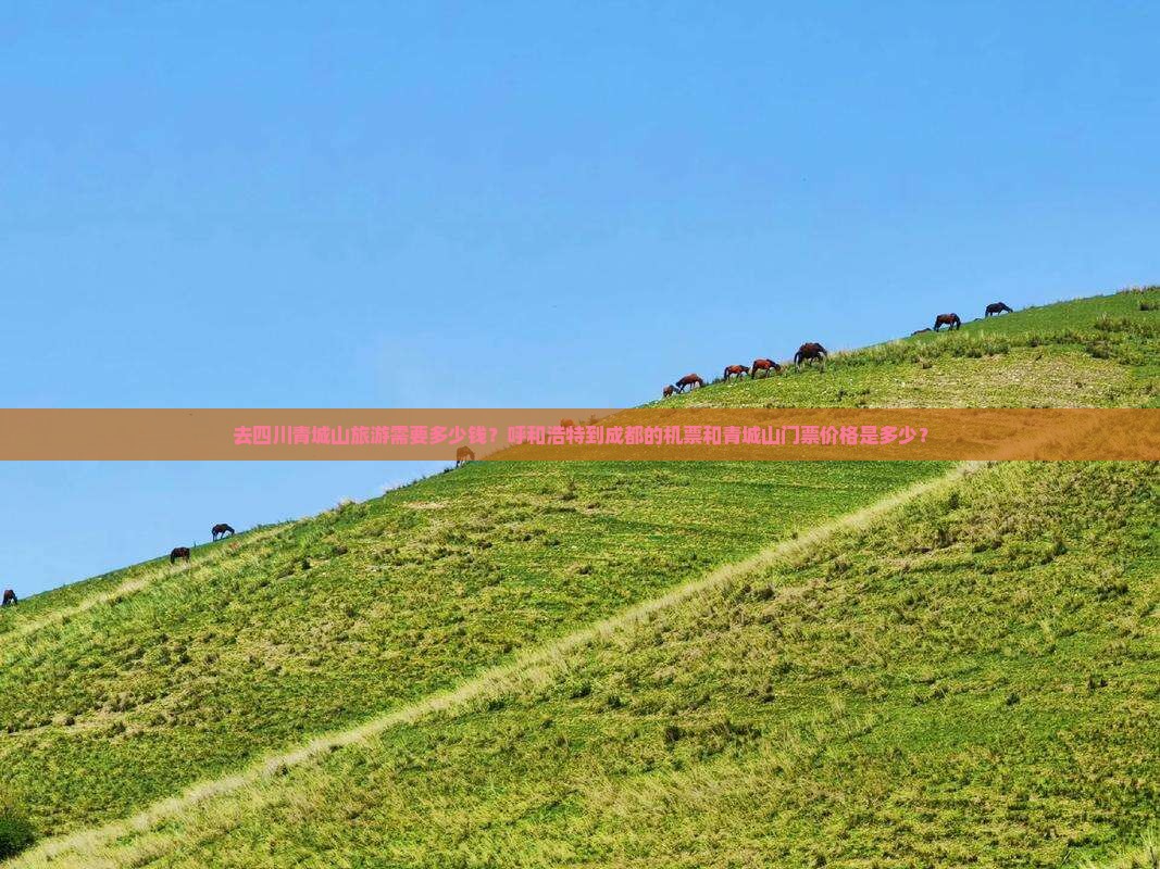 去四川青城山旅游需要多少钱？呼和浩特到成都的机票和青城山门票价格是多少？