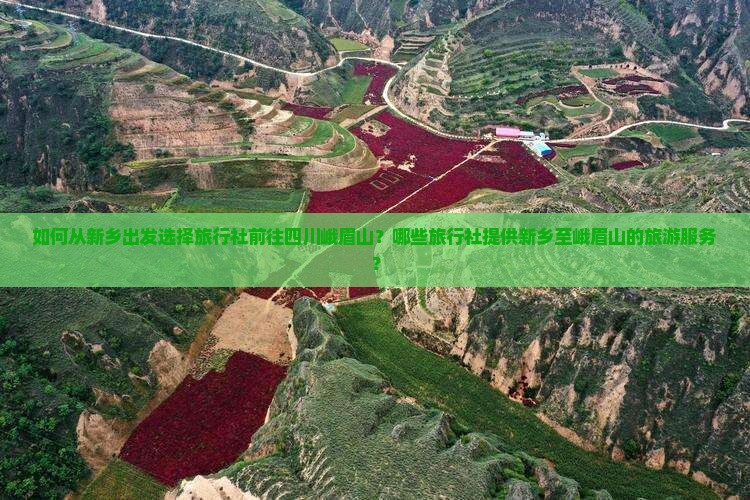 如何从新乡出发选择旅行社前往四川峨眉山？哪些旅行社提供新乡至峨眉山的旅游服务？