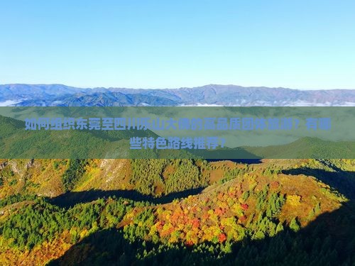 如何组织东莞至四川乐山大佛的高品质团体旅游？有哪些特色路线推荐？