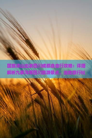 国旅凉山出发四川成都自由行攻略：详细解析九寨沟等四川旅游景点，当地旅行社多少钱，探索四川旅游的自由之旅