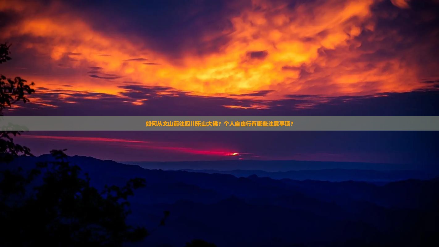 如何从文山前往四川乐山大佛？个人自由行有哪些注意事项？