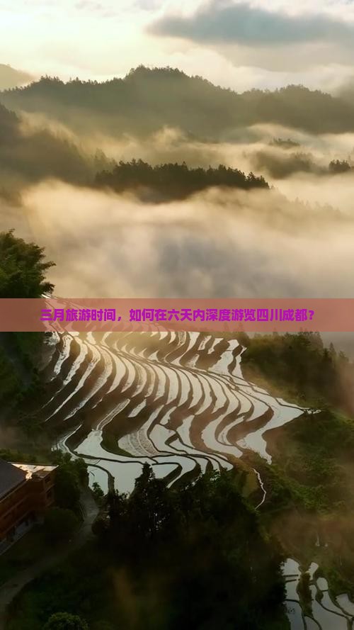 三月旅游时间，如何在六天内深度游览四川成都？