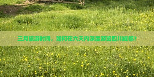 三月旅游时间，如何在六天内深度游览四川成都？