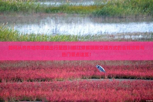 如何从齐齐哈尔便捷出行至四川都江芽解锁新交通方式的省钱攻略与热门景点速览！