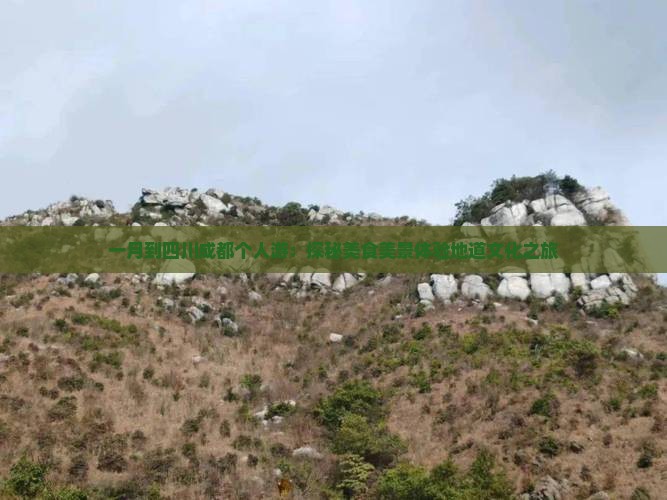 一月到四川成都个人游：探秘美食美景体验地道文化之旅