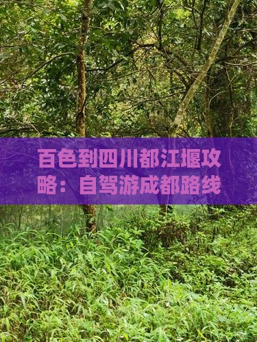 百色到四川都江堰攻略：自驾游成都路线指南