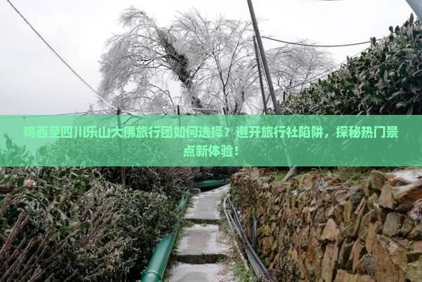 鸡西至四川乐山大佛旅行团如何选择？避开旅行社陷阱，探秘热门景点新体验！