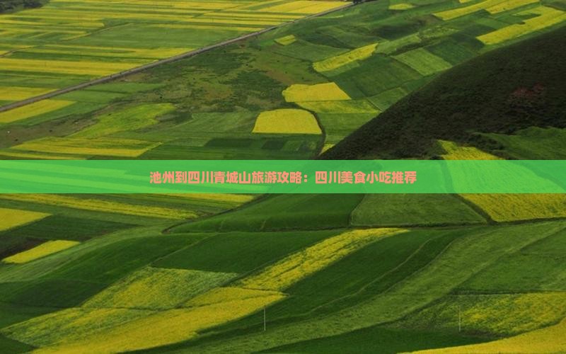 池州到四川青城山旅游攻略：四川美食小吃推荐