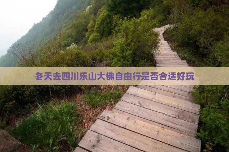 冬天去四川乐山大佛自由行是否合适好玩