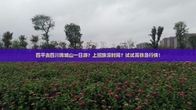 四平去四川青城山一日游？上班族没时间？试试高铁急行侠！