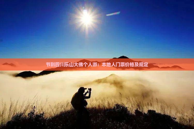 节到四川乐山大佛个人游：本地人门票价格及规定
