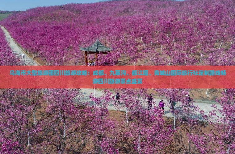 乌海市大型旅游团四川旅游攻略：成都、九寨沟、都江堰、青城山国际旅行社定制路线畅游四川旅游景点盛宴