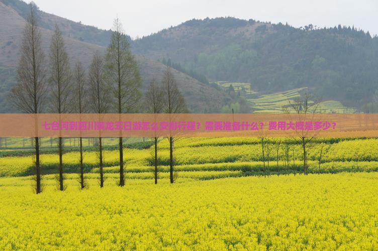七台河到四川黄龙五日游怎么安排行程？需要准备什么？费用大概是多少？