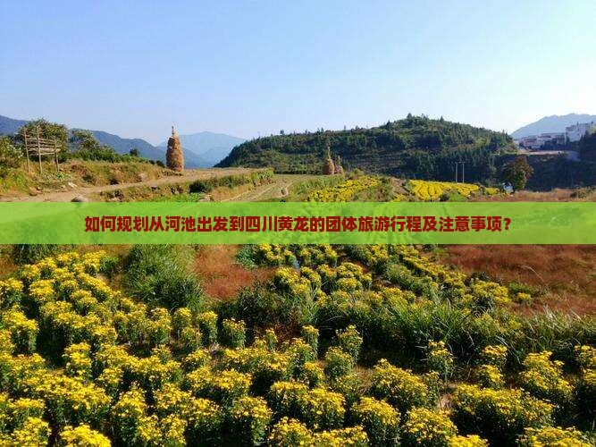 如何规划从河池出发到四川黄龙的团体旅游行程及注意事项？