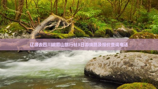 辽源去四川峨眉山旅行社3日游线路及报价查询电话
