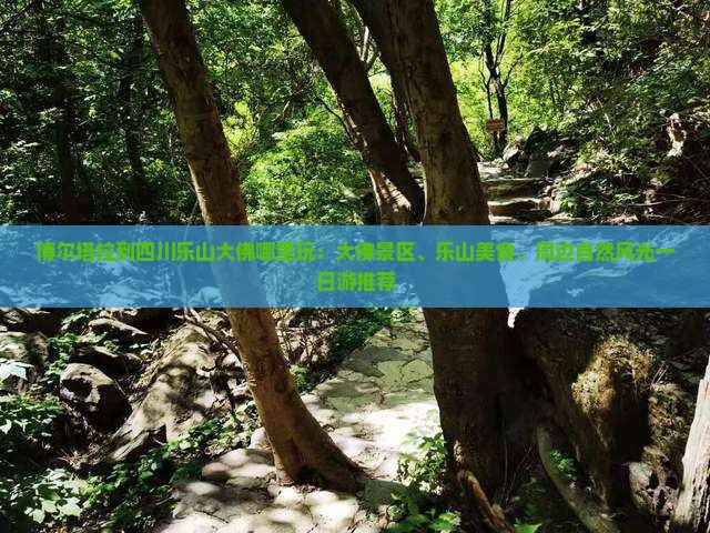 博尔塔拉到四川乐山大佛哪里玩