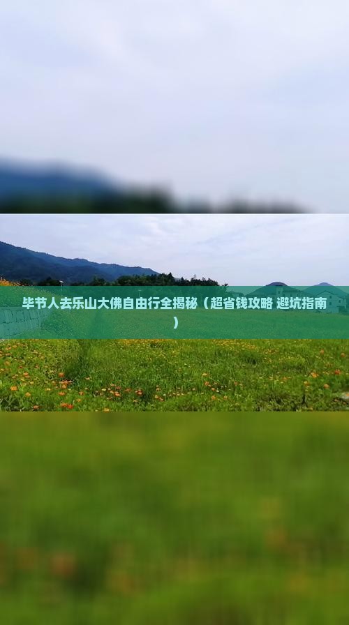 毕节去四川乐山大佛自由团