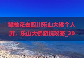 攀枝花去四川乐山大佛个人游 攀枝花去四川乐山大佛个人游