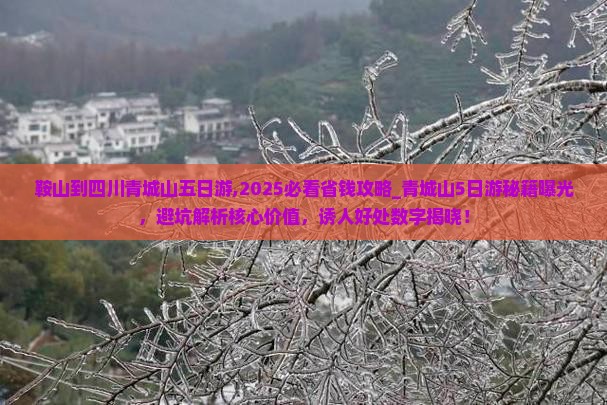 鞍山到四川青城山五日游 鞍山到四川青城山五日游