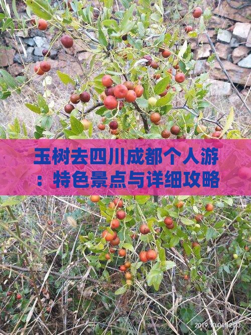 玉树去四川成都个人游