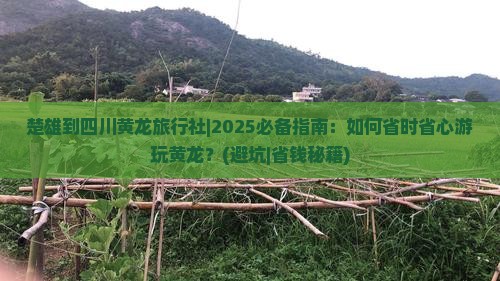 楚雄到四川黄龙旅行社
