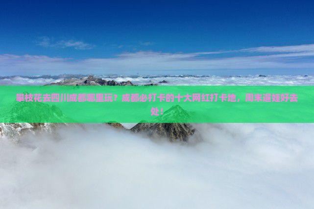 攀枝花去四川成都哪里玩