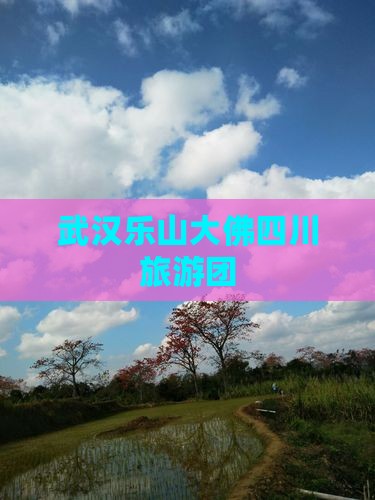 武汉去四川乐山大佛大型旅游团