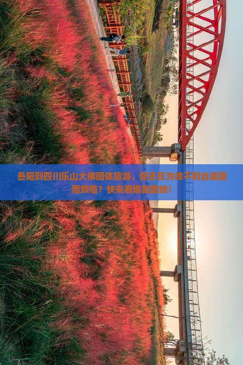 岳阳到四川乐山大佛团体旅游