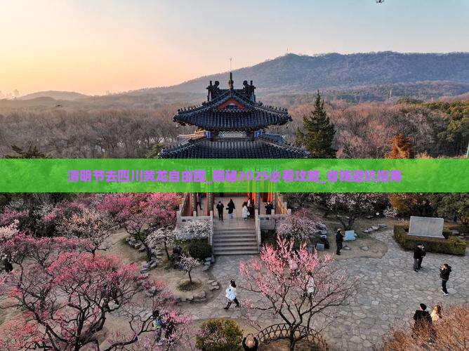 清明节去四川黄龙自由团