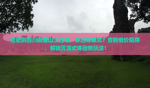 合肥到四川峨眉山三日游