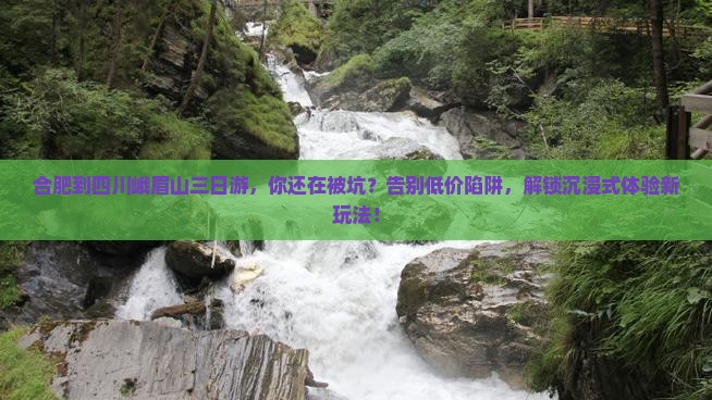 合肥到四川峨眉山三日游
