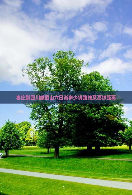 枣庄到四川峨眉山六日游