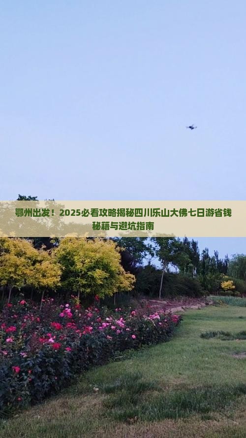 鄂州去四川乐山大佛七日游