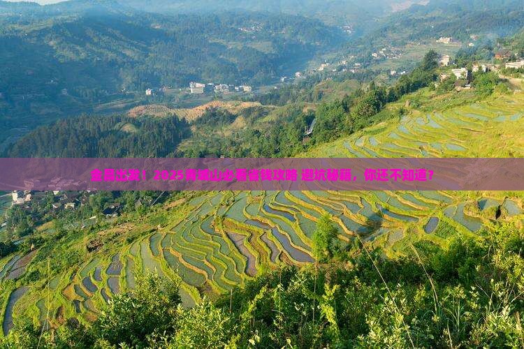 金昌去四川青城山旅行社