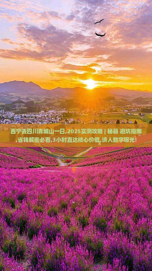 西宁去四川青城山一日