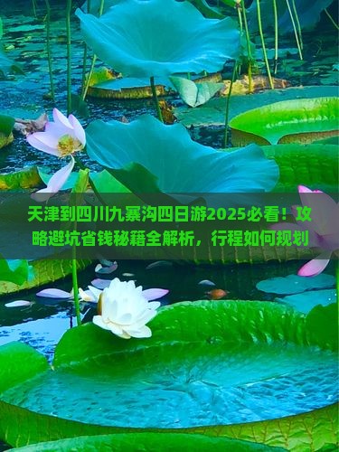 天津到四川九寨沟四日游